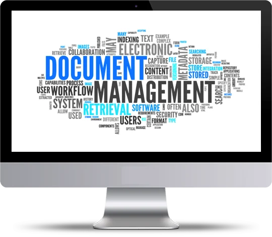 document management terms displayed on the image bigsun