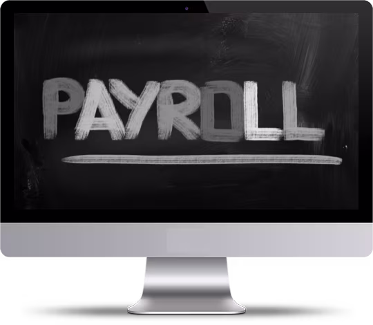 ptpayroll bigsun