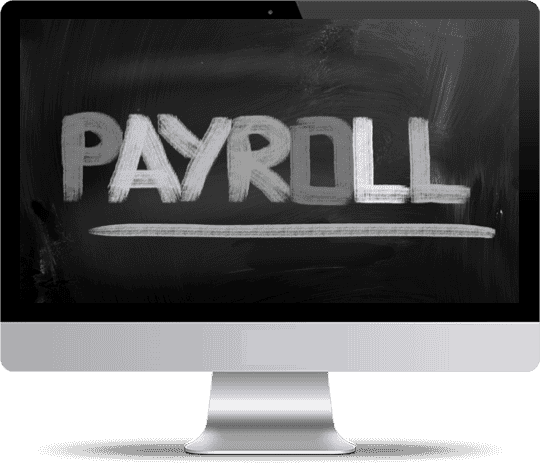ptpayroll bigsun