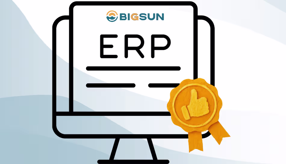 erp software system bigsun