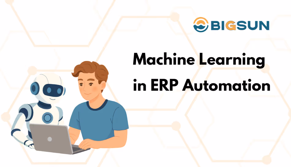 machine learning in erp system