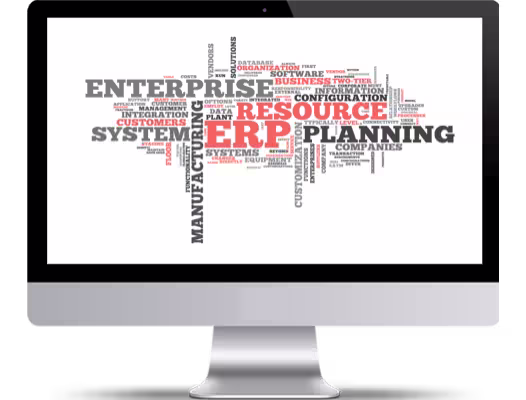 word cloud of erp bigsun