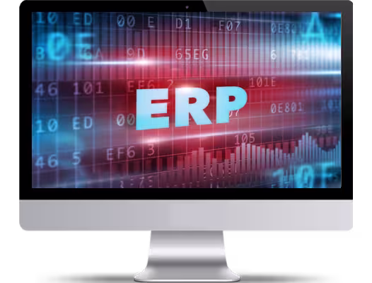 ERP system bigsun