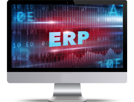 ERP system bigsun