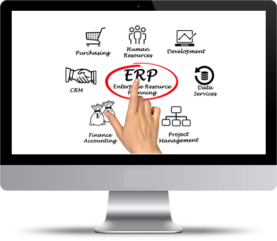 this image describes ERP for various business segments bigsun