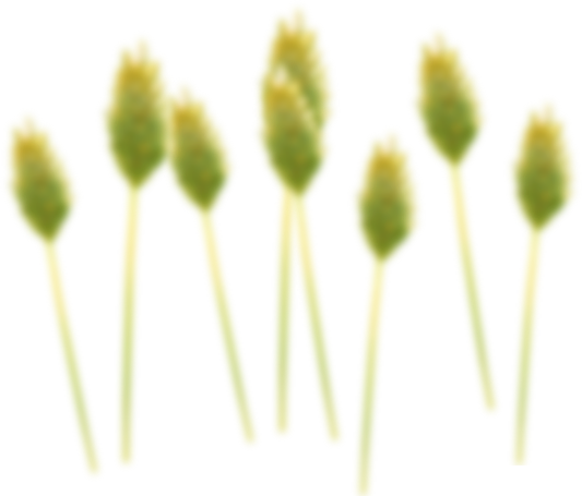 this is a image used on the banner bigsun