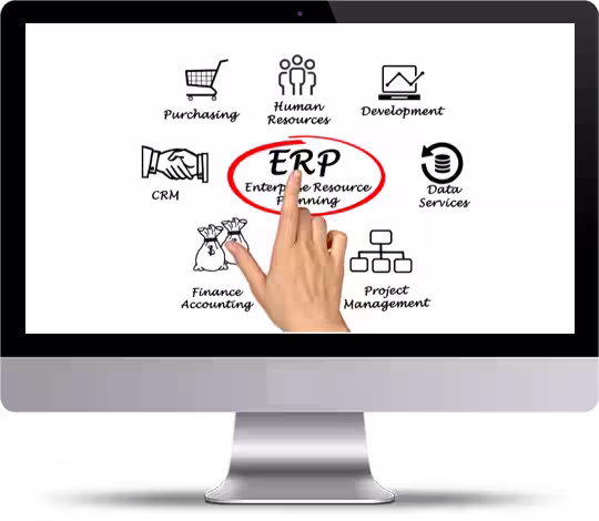 this image describes ERP for various business segments bigsun